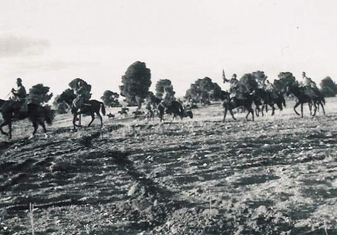 Hussards-HARKA 4.jpg